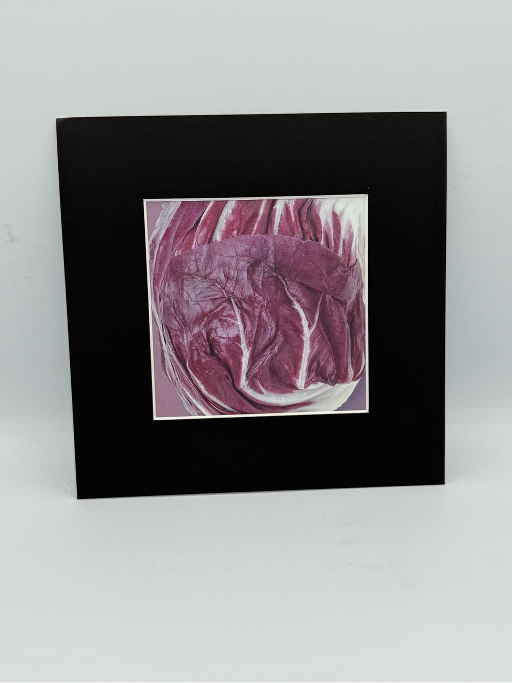 8”x8” Purple Cabbage Wall Art with Black Mat